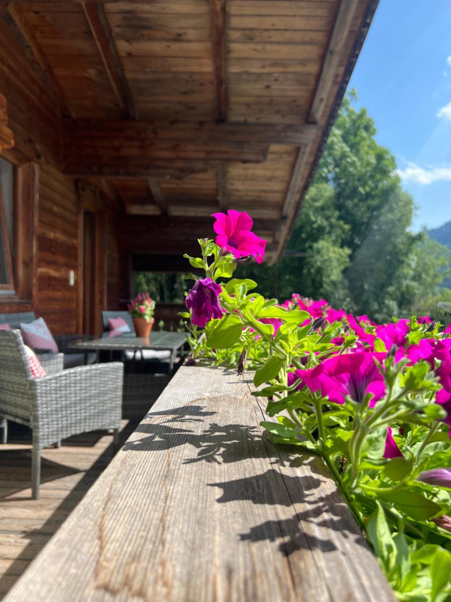 Ferienwohnung Gamsbock Panorama View Balkon, Gartensauna, Garten, Grillplatz ชตุมม์ ภายนอก รูปภาพ